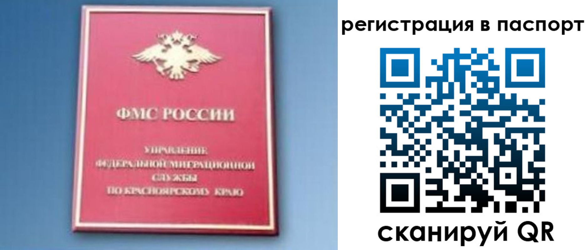 регистрация в Шахунье